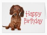 Dachshund Happy Birthday Meme Happy Birthday Dachshund Puppy Dog Card Zazzle Com