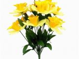 Daffodil Birthday Flowers 17 Best Ideas About March Birth Flowers On Pinterest