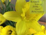 Daffodil Birthday Flowers 17 Best Images About Happy March Birthday On Pinterest