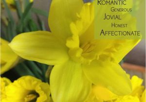 Daffodil Birthday Flowers 17 Best Images About Happy March Birthday On Pinterest