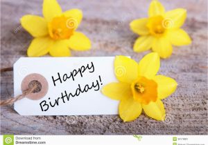 Daffodil Birthday Flowers Label with Happy Birthday Stock Image Image Of Born