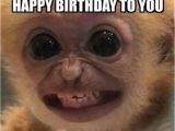 D&amp;d Birthday Meme Pin by Deborah Leblanc On Just 39 Cause Funny Memes Funny