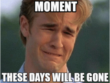 Day before Birthday Meme Savor Every Moment these Days Will Be Gone before You Know