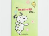 Dayspring Birthday Cards Free Online Peanuts Birthday 12 Boxed Cards Dayspring