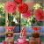 Decorate Table for Birthday Party 1st Birthday Decoration Ideas at Home for Party Favor