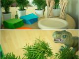 Dinosaur Decorations for Birthday Party Kids Party Hub Dinosaur themed Party Ideas