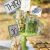 Dirty Thirty Birthday Decorations 30th Birthday Party the Dirty 30 B Lovely events