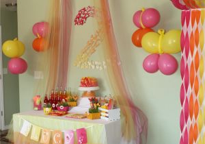 Discount Birthday Decorations butterfly themed Birthday Party Decorations events to