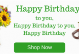 Discount Birthday Flowers Discount Flowers Discount Flower Shop Flower Discounts