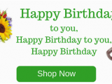 Discount Birthday Flowers Discount Flowers Discount Flower Shop Flower Discounts