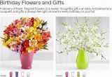 Discount Birthday Flowers Save 15 Discount Proflowers Birthday Flowers Gifts