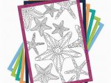Does Barnes and Noble Have Birthday Cards Coloring Creations Greeting Cards Serenity with