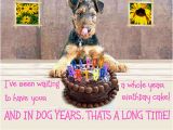 Dog Birthday Card Sayings Birthday Quotes for Dog Lovers Quotesgram