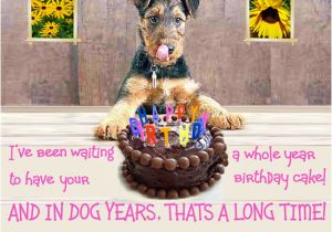 Dog Birthday Card Sayings Birthday Quotes for Dog Lovers Quotesgram