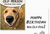 Dog Birthday Card Sayings Birthday Wishes for A Dog Lover Wishesgreeting