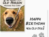 Dog Birthday Card Sayings Birthday Wishes for A Dog Lover Wishesgreeting