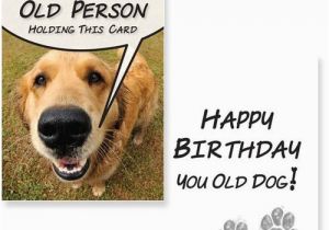 Dog Birthday Card Sayings Birthday Wishes for A Dog Lover Wishesgreeting