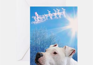 Dog Birthday Card Sayings Breed Dog Greeting Cards Card Ideas Sayings Designs