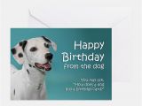 Dog Birthday Card Sayings Dalmatian Dog Greeting Cards Card Ideas Sayings