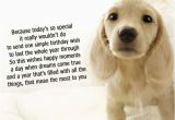 Dog Birthday Card Sayings Dog Birthday Quotes Quotesgram