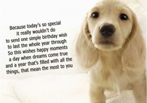 Dog Birthday Card Sayings Dog Birthday Quotes Quotesgram