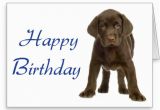 Dog Birthday Card Sayings Happy Birthday Quotes for Dogs Quotesgram