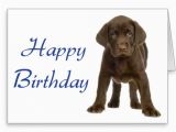 Dog Birthday Card Sayings Happy Birthday Quotes for Dogs Quotesgram