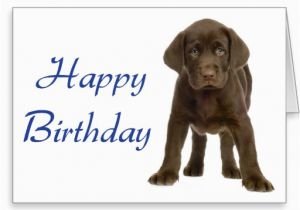 Dog Birthday Card Sayings Happy Birthday Quotes for Dogs Quotesgram