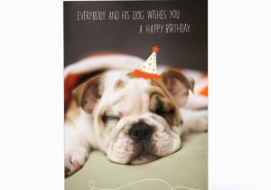 Dog Birthday Card Sayings Happy Birthday Wishes with Dog Page 12