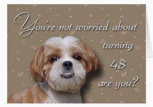 Dog Birthday Card Sayings with Quotes Birthday Dogs Qorgie Quotesgram
