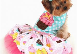 Dog Birthday Dresses 10 Best Images About Small Dogs Birthday Dress On