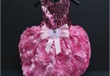 Dog Birthday Dresses All that Glitters Pink Sequin 3d Flower Birthday Party Dog