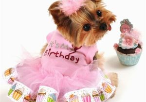 Dog Birthday Dresses It 39 S My Birthday Dog Tutu Dress