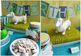Dog Decorations for Birthday Party 23 Dog Birthday Party Ideas that You Must Take Away
