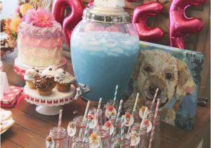 Dog Decorations for Birthday Party 25 Best Ideas About Dog Birthday Parties On Pinterest