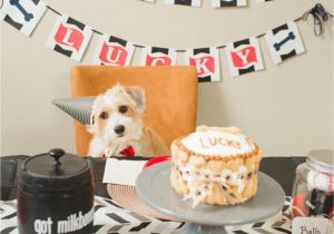 Dog Decorations for Birthday Party 5 Dog Birthday Parties Better Than Yours Healthy Paws