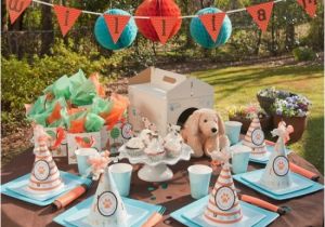 Dog Decorations for Birthday Party Dog Birthday Party Ideas