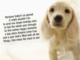 Doggie Birthday Cards Dog Birthday Quotes Quotesgram