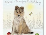 Doggie Birthday Cards Down the Lane Collection wholesale Greeting Cards and