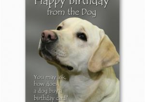 Doggie Birthday Cards Happy Birthday From the Dog Yellow Labrador Birthday