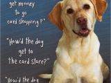 Doggie Birthday Cards Quotes About Dogs Birthday 22 Quotes