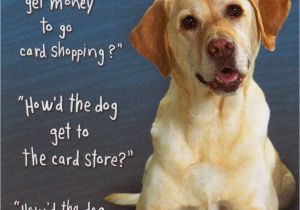 Doggie Birthday Cards Quotes About Dogs Birthday 22 Quotes