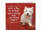 Doggie Birthday Cards Smiling Happy Dog Birthday Cards Hallmark Card Pictures