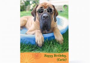 Doggie Birthday Cards the Gallery for Gt Birthday Card Dogs