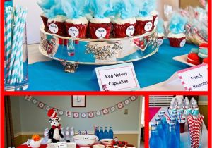 Dr Seuss Birthday Decoration Ideas Dr Seuss Birthday Party Ideas Household Tips