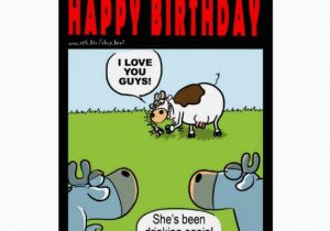 Drunk Birthday Cards Drunk Birthday Cow Cards Zazzle
