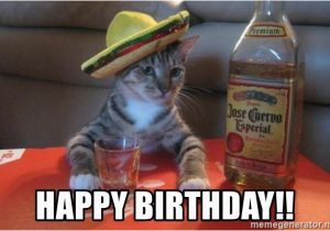 Drunk Girl Birthday Meme Happy Birthday Drunk Cat Meme Generator