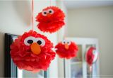 Elmo Birthday Decoration Ideas A Party Party Tips with Play All Day Elmo Plain