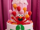 Elmo First Birthday Decorations Elmo themed First Birthday Party the Celebration society