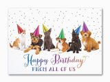 Employee Birthday Cards Bulk Birthday Cards In Bulk Lovely Employee Birthday Cards Bulk